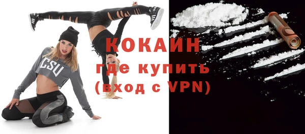 твердый Коряжма